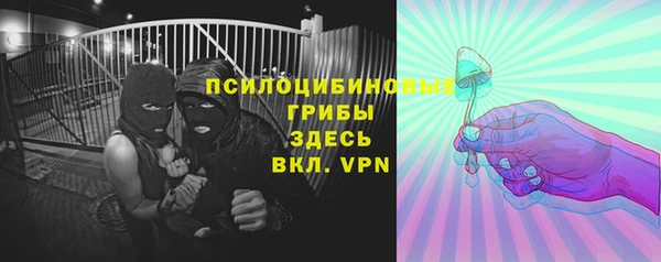 молекула духа Алексин
