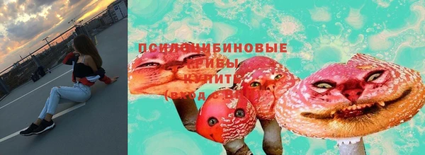 прущие грибы Алзамай