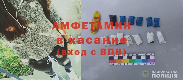 прущие грибы Алзамай