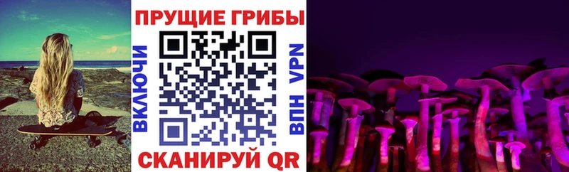 дарнет шоп  ОМГ ОМГ сайт  Псилоцибиновые грибы ЛСД  Ипатово 
