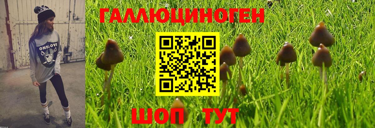 Ипатово  Галлюциногенные грибы MAGIC MUSHROOMS  Вход с VPN 